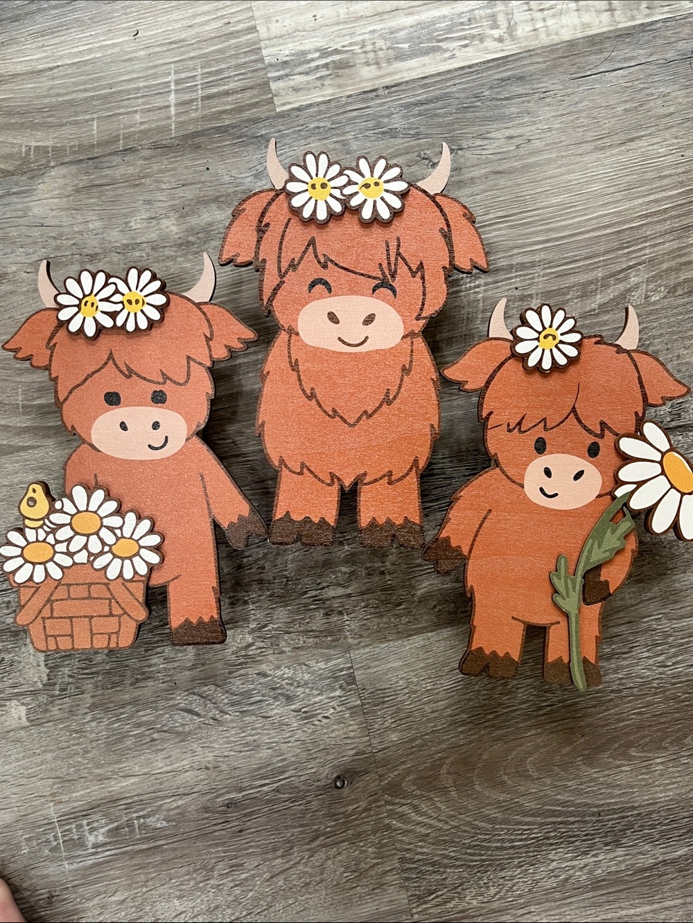 Rust Orange Highland Cow Trio Wall Decor with Daisies